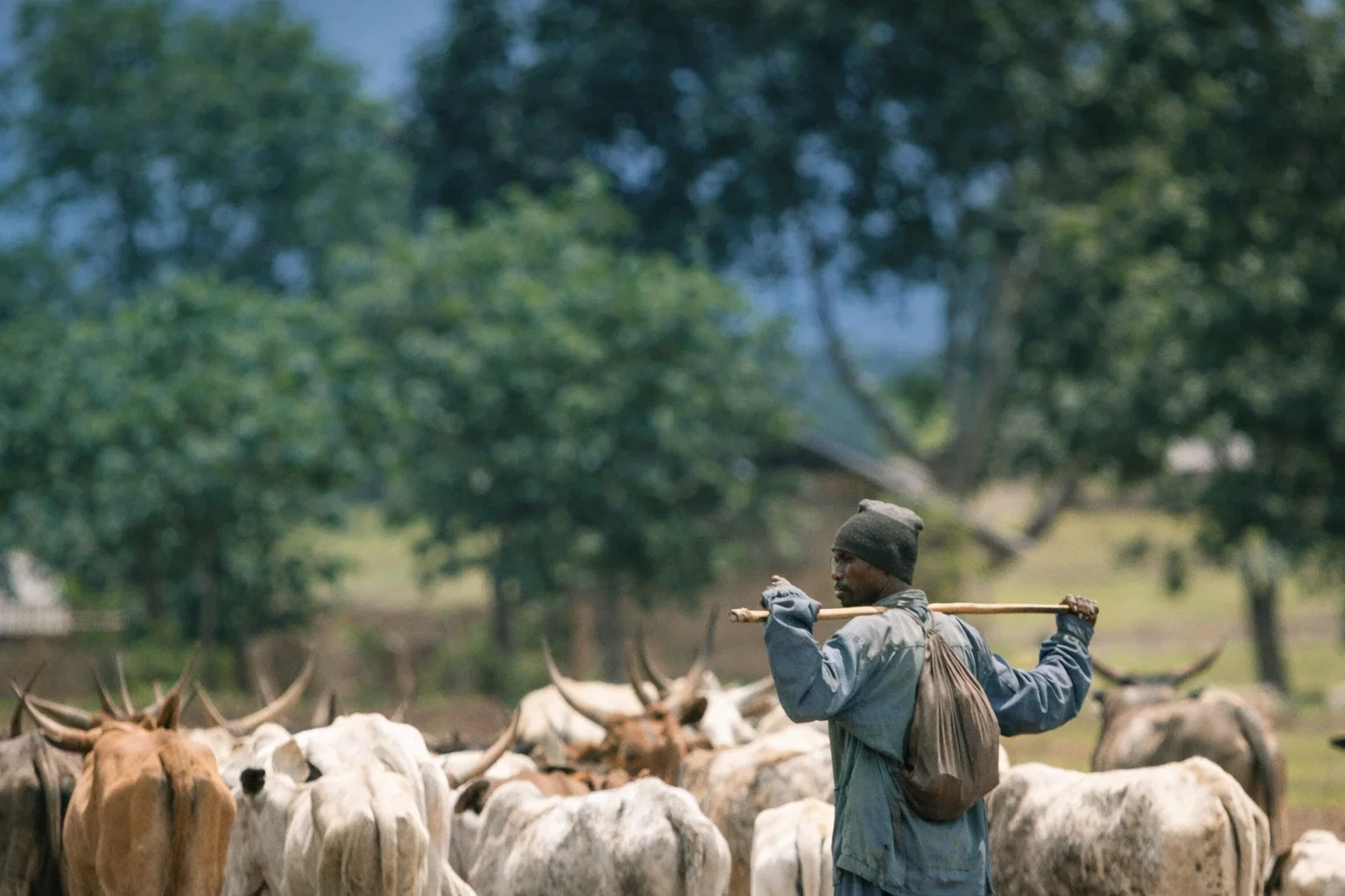 Cowater International